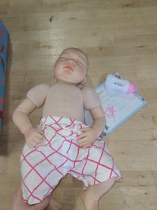 lot 2982065 image: 22In Reborn Baby Girl Baby Doll Soft Body Dilicone Limbs With Bottle and Pacifier