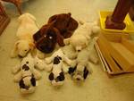 (6) stuffed animal dogs, pound puppies