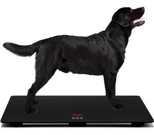 lot 12028 image: Multifunctional Pet Weight Scale for Large Dogs, Temp-Glass Big Dog Scale Hold 220lbs Animals with A Mat, �10 Grams Accuracy, for Home and Vet Clinic Use