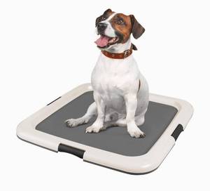 lot 35446 image: IRIS USA Pee Pad Holder, Square Dog Pad Hoder, Secured Latches, Non-Skid Rubber Feet, High Polish Finish for Easy Cleaning, Leak Protection, Dog Potty Tray, Fits Larger than 19x19, Dark Gray