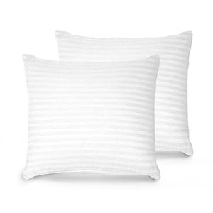 lot 1859 image: Trendy Home 22x22 Throw Pillow Insert (Set of 4 , White) Bed and Couch Pillows Stuffer Hypoallergenic, Decorative Home Indoor Outdoor Sofa Pillow Filler (Machine Wash, 4 Pack)