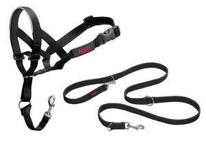 lot 60403 image: HALTI Headcollar Size 3, Black & HALTI Training Leash Size Large, Black Combination Pack - Stop Your Dog Pulling on the Leash. Adjustable, Lightweight with Padded Nose Band. Suitable for Medium Dogs