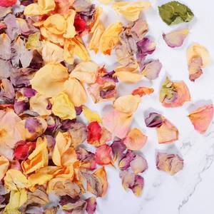 lot 60442 image: 20 Cups Real Rose Petals Biodegradable Wedding Flower Confetti, 2 QT Mixed Yellow Purple Pink Dried Roses Petals for Wedding Proposal Bath Valentines Day Party Flower Girl