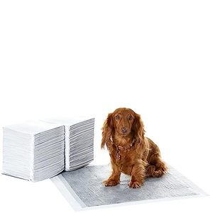 lot 60563 image: Amazon Basics Dog and Puppy Pee Pads with 5-Layer Leak-Proof Design and Quick-Dry Surface for Potty Training, Odor-Control Carbon, Regular Size, 22 x 22 Inch - Pack of 80, Gray