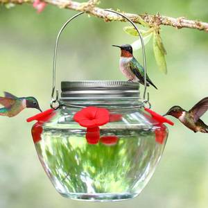 lot 60574 image: TPZAERK Mason Jar Hummingbird Feeder for Outdoors Hanging, Glass Humming Bird Feeders with 4 Feeding Ports, Top Fill Leak-Proof Design Easy to Use and Clean, Silicone Flowers  Heavy Duty Glass