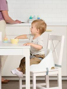 lot 60609 image: Regalo Baby Basics� Booster Seat, White, Three-Point Safety Harness, Easily Wipeable, Sturdy & Durable Plastic