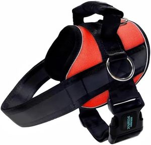 lot 60665 image: Joyride Harness 2.0 No Pull Dog Harness - Dual Adjustable No Choke Dog Vest for Easy Walks and Training - Custom Name Tag Included - Perfect for Small, Medium & Large Dogs