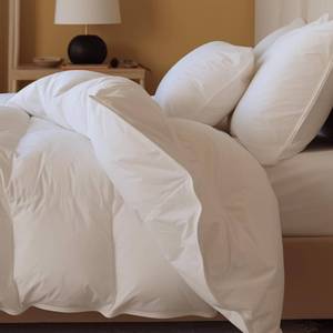 lot 7735 image: Double Stitch by Bedsure Down Comforter Queen Size, Ultra-Soft US White Down Duvet Insert, Durable 100% Cotton Shell, Lightweight Breathable Duvet, Made in Canada, Lightweight, Queen(90 x 90)
