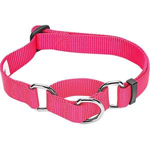 lot 15679 image: Blueberry Pet Essentials Martingale Safety Training Dog Collar, French Pink, Large, Heavy Duty Nylon Adjustable Collars for Dogs