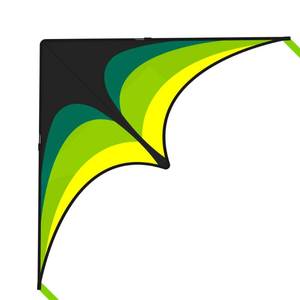 lot 15717 image: Mints Colorful Life Delta Kite for Kids & Adults, Extremely Easy to Fly Kite with 2 Ribbons and 300ft Kite String, Best Kite for Beginner(USED)