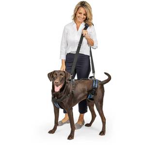 lot 18202 image: pet safe carelift support harness size large