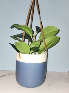 lot 4991 image: Hanging Potted Plant