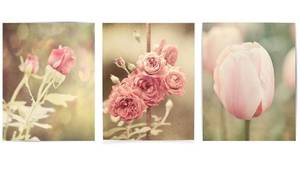 lot 10081 image: Pink Floral Shabby Chic Flower Prints - Set of 3 - Not Framed - Nursery, Bedroom or Bathroom Decor (3 8x10 Prints Only)