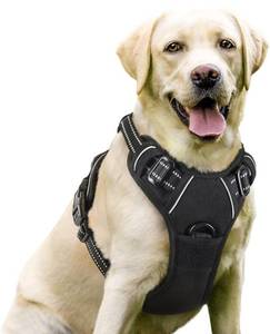lot 10082 image: rabbitgoo Dog Harness, No-Pull Pet Harness with 2 Leash Clips, Adjustable Soft Padded Dog Vest, Reflective No-Choke Pet Oxford Vest with Easy Control Handle for Large Dogs, Black, M