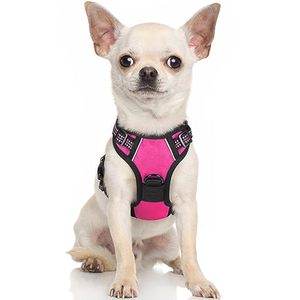 lot 10208 image: rabbitgoo Dog Harness, No-Pull Pet Harness with 2 Leash Clips, Adjustable Soft Padded Dog Vest, Reflective No-Choke Pet Oxford Vest with Easy Control Handle for Small Dogs, Hot Pink, XS