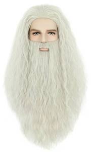 lot 10209 image: karlery Men Long Curly Grey Wizard Wig and Beard Halloween Cosplay Costume Accessory Wig
