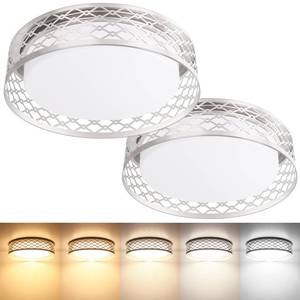 lot 10274 image: TOBUSA 5CCT Dimmable LED Ceiling Lights 36W, 13in 3200lm Super Bright Flush Mount Ceiling Lights, Modern Light Fixtures Ceiling Mount for Kitchen, Office, Bedroom, 2 Packs, Brushed Nickel