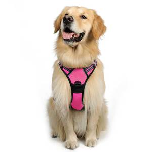 lot 10544 image: rabbitgoo Dog Harness, No-Pull Pet Harness with 2 Leash Clips, Adjustable Soft Padded Dog Vest, Reflective No-Choke Pet Oxford Vest with Easy Control Handle for Large Dogs, Hot Pink, XL