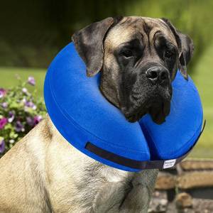 lot 10620 image: BENCMATE Protective Inflatable Collar for Dogs and Cats - Soft Pet Recovery Collar Does Not Block Vision E-Collar (XLarge, Dark Grey)