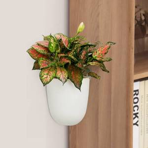 lot 10623 image: ORIMERC Self-Watering Wall Planter, White, IndoorOutdoor, 90-Day Warranty