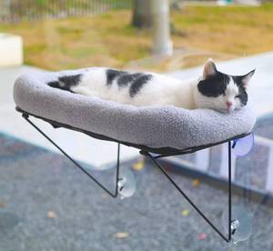 lot 10794 image: Zakkart Cat Window Perch - 100% Metal Supported from Below - Comes with Warm Spacious Pet Bed - Cat Window Hammock for Large Cats & Kittens - for Sunbathing, Napping & Overlooking (Grey)