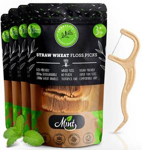 lot 10832 image: SMARTLIFECO Biodegradable Dental Floss Picks - Natural Plastic Free Handle, Thin Thread Tooth Flossers for Adults & Kids, Eco Friendly Toothpick Soft on Gum & Teeth, Zero Waste Vegan Organic, 200 mint
