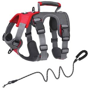 lot 10856 image: PUPTECK Upgraded Escape Proof Dog Harness and Leash Set No Pull Adjustable Reflective Dog Vest with Padded Lift Handle for Medium Large Dogs Walking Training, RedGrey, M