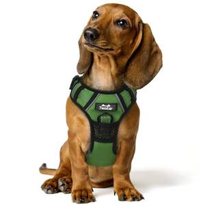 lot 10880 image: TwoEar Dog Harness, No Pull Reflective Harness Front Clip Easy Control Handle Adjustable Soft Padded Pet Vest for Puppy Small Medium Large Dogs Breed Pet(Medium,Green)
