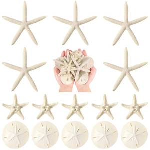 lot 10984 image: 15 Pieces Resin Starfish and Sand Dollars 2.0 Inch Starfish 4.7 Inch Starfish 2.3 Inch Sand Dollars Crafts Ocean Themed Glittered Coastal Decorations for Christmas Wedding Party Decor Craft Supplies
