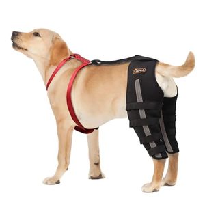 lot 11530 image: Moysoon Dog Acl Brace Hind Leg, Dog Knee Braces for Torn Acl Hind Leg, Luxating Patella, Cruciate Ligament, Dog Acl Knee Brace Support Back Leg for Relieve Joint Pain and Muscle Sore Both (XS) - Retail $97.19