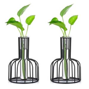 lot 11951 image: Glass Propagation Station with Metal Frame, Black Flower Vase, Test Tube Vase for Hydroponic Plant, Small Bud Vase for Home Kitchen Office Table Top Decor