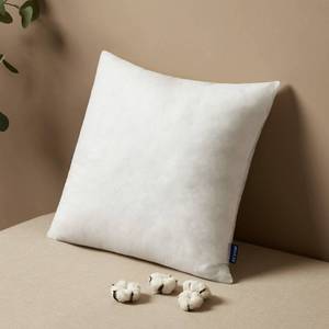 lot 12215 image: MIULEE Pillow Insert 22x22 Inch, Decorative Square Throw Pillow Inserts, Premium Fluffy Pillow Forms Sham Stuffer for Sofa Couch Living Room