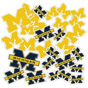 lot 12552 image: Desert Cactus University of Michigan Sticker Wolverines UM U of M Stickers Vinyl Decals Laptop Water Bottle Car Scrapbook T1 (Type 1-1)