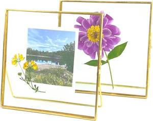 lot 12822 image: Beedecor Double Glass Frame for Pressed Flowers, Leaf and Artwork,Gold 6x6 Standing Square Metal Picture Frames, Set of 2 Pressed Flower Frames with Stand (Gold, 6x6)