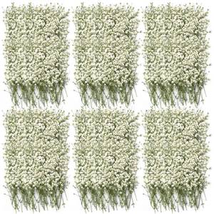 lot 12910 image: 300 Pcs Dried Babys Breath Flowers Bulk Ivory White Babys Breath Real Pressed Flowers Natural Gypsophila Dried Flowers for Resin Wedding Art Craft DIY Invitations Scrapbooking Card Making