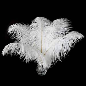 lot 12984 image: 24pcs Natural White Ostrich Feathers 10-12inch (25-30cm) for Wedding Party CenterpiecesFlower Arrangement and Home Decoration.
