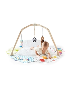 lot 42364 image: The Play Gym by Lovevery  Stage-Based Developmental Activity Gym & Play Mat for Baby to Toddler, 1 Count (Pack of 1) (B075R8BXXC) Retail $140