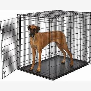 lot 59274 image: Midwest large dog kennel