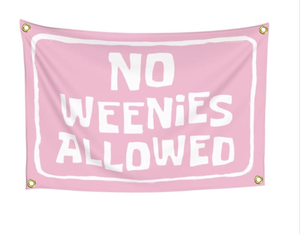lot 1901 image: SpongeBob No Weenies Flag