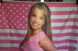 lot 1905 image: Britney Spears Flag