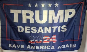 lot 1910 image: Trump 2024 Flag