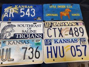 lot 295 image: License Plates