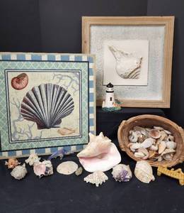 lot 460 image: (2) Seashell Pictures 20x20 and Seashells