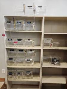 lot 44554 image: Lot Of 21 Candy Holders WScoops