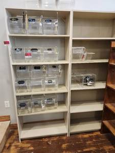 lot 44555 image: Lot Of 2 Wood Book Shelves