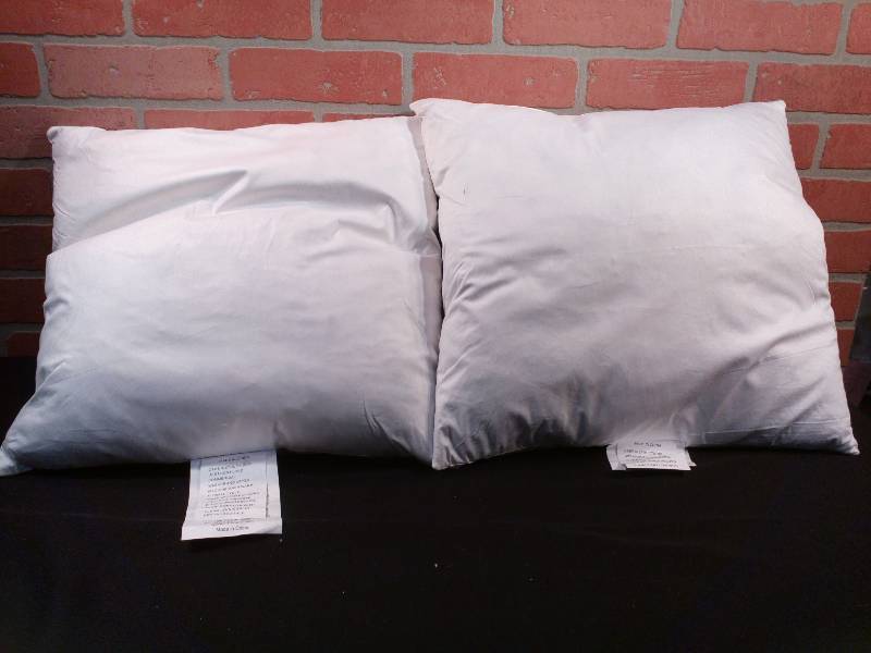 lot 10 image: Gray Duck Feather Pillows