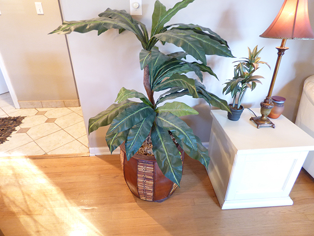 lot 1007 image: Bamboo Imported Designer Pot and Plant