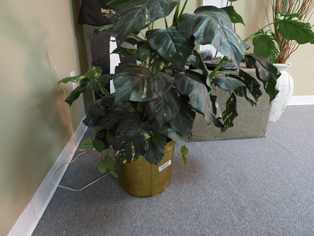 lot 1077 image: Brass Pot with Greenery