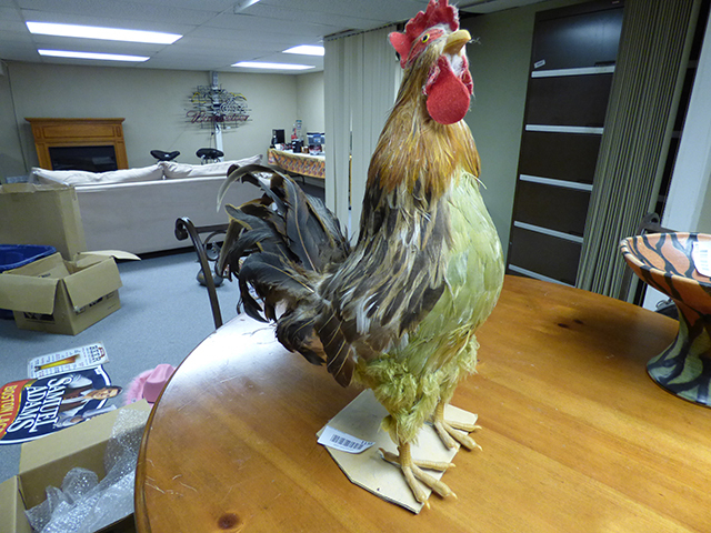 lot 1138 image: Kitchen Cock a Doodle Doo