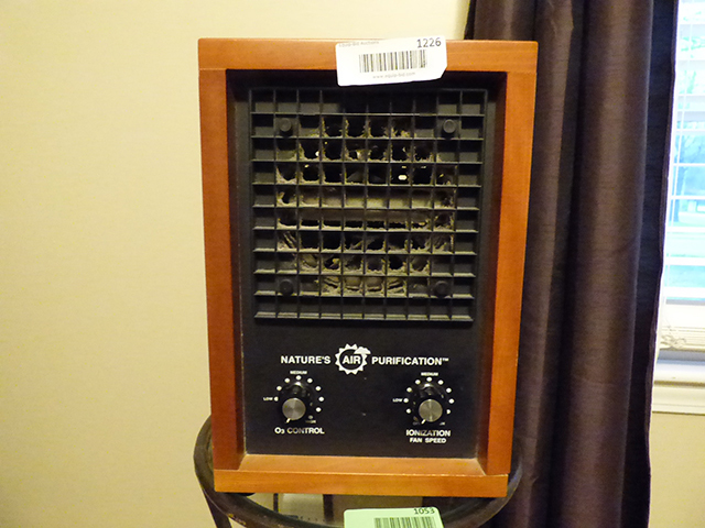 lot 1226 image: Natures Air Purifier